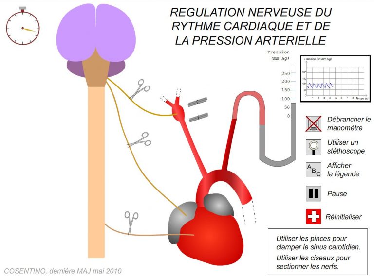 Https Www Pedagogie Ac Nice Fr Svt Productions Equilal