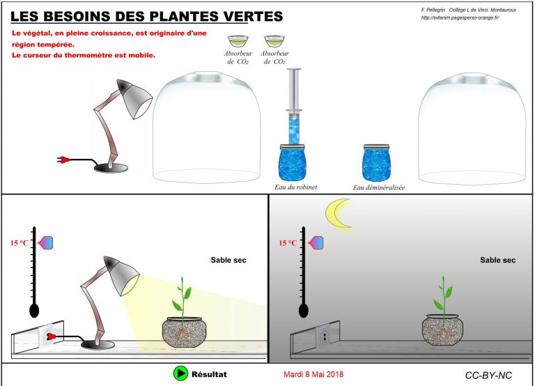 Un logiciel pour déterminer les besoins des plantes chlorophylliennes
