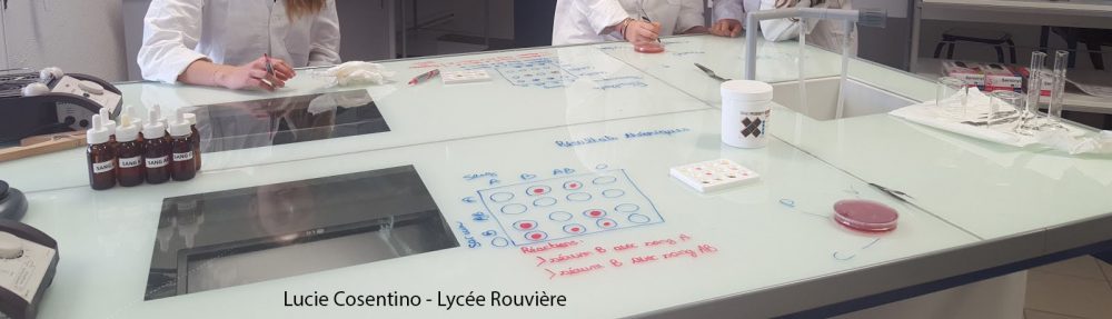 1) quelle est la principale différence entre la datation relative et les techniques de datation numériqueadventiste match site de rencontre