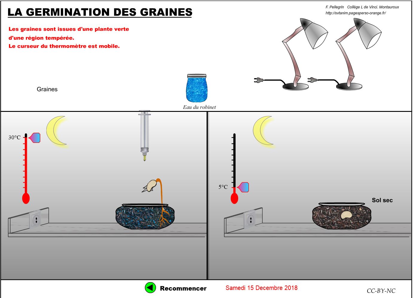 Un logiciel pour étudier les conditions de germination des graines