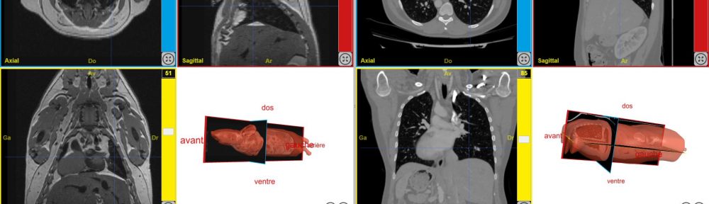 TÉLÉCHARGER IMAGES EDUANATOMIST IMAGES EDUANATOMIST TÉLÉCHARGER