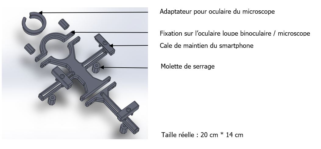 Utiliser son téléphone pour prendre en photo une observation microscopique,  à l'aide d'un adaptateur imprimable en 3D – Sciences de la Vie et de la  Terre