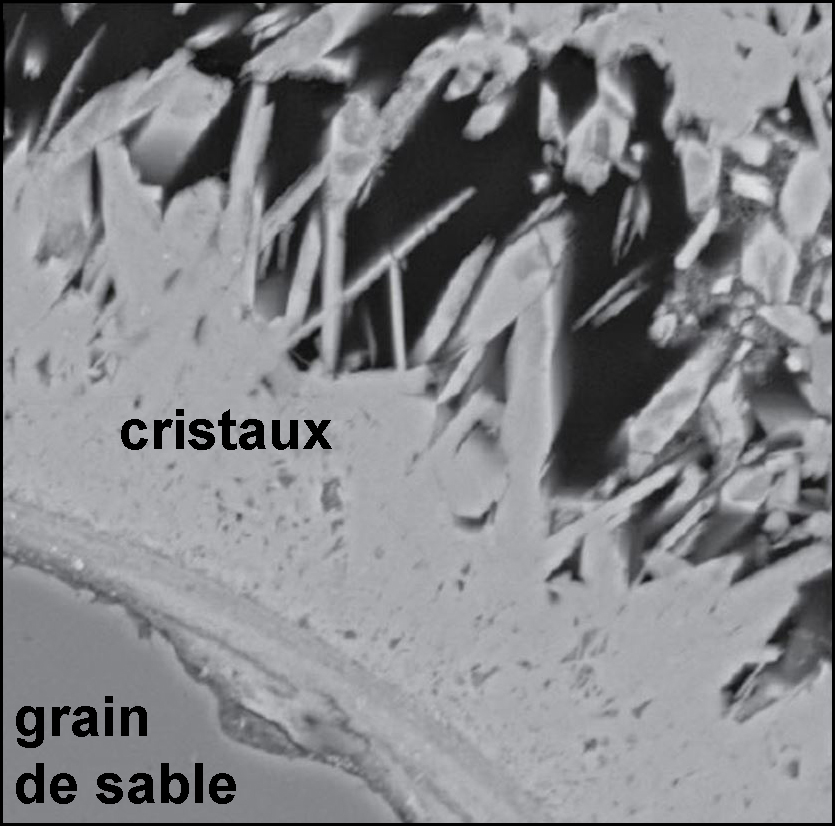 Utiliser son téléphone pour prendre en photo une observation microscopique,  à l'aide d'un adaptateur imprimable en 3D – Sciences de la Vie et de la  Terre