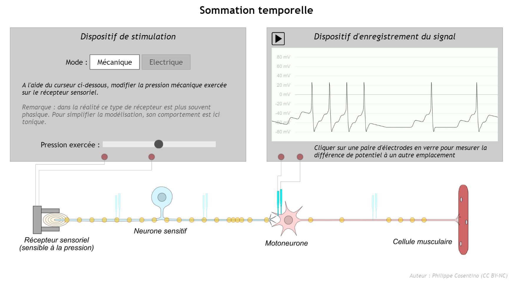 Capture d'écran du logiciel "Sommation temporelle"