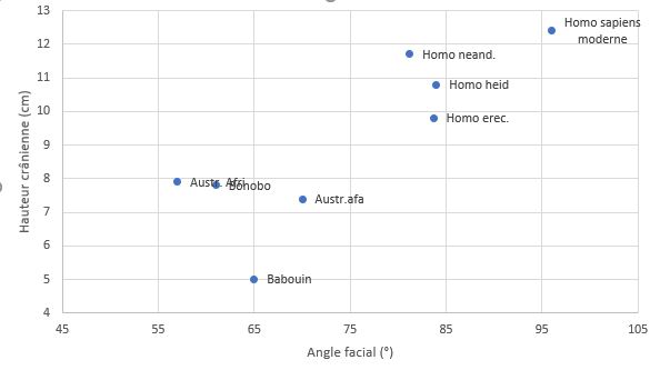 Un exemple de graphique obtenu avec Excel. Titre : caractéristiques crâniennes de différents primates.