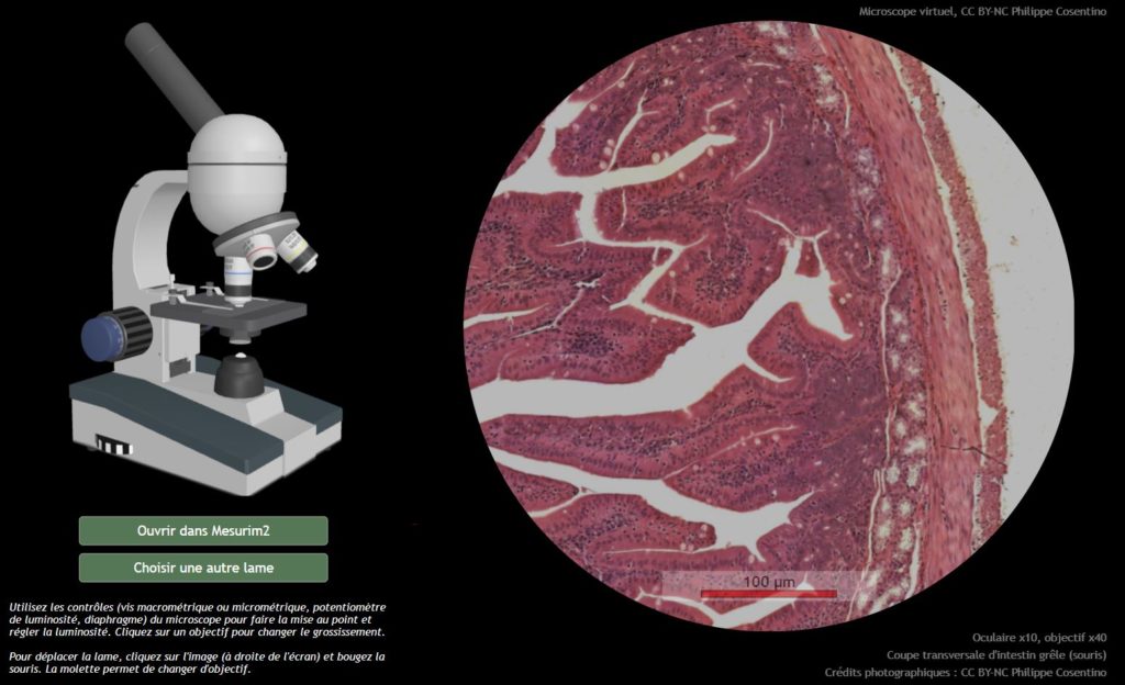 Lame de microscope - Icônes éducation gratuites