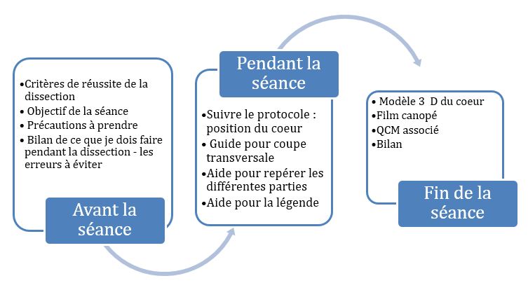 Accompagner les élèves avec la plateforme Tactileo – Sciences de la Vie