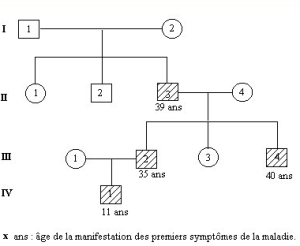 Arbre généalogique de la famille étudiée (source : Plateforme ACCES)
